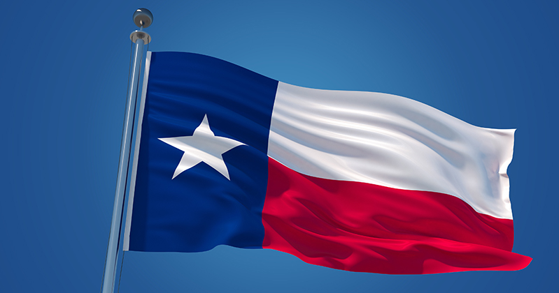 Picture of Texas Flag Flowing in the Wind