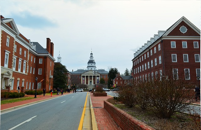Downtown Annapolis where there are many homes in need of a house cleaning franchise